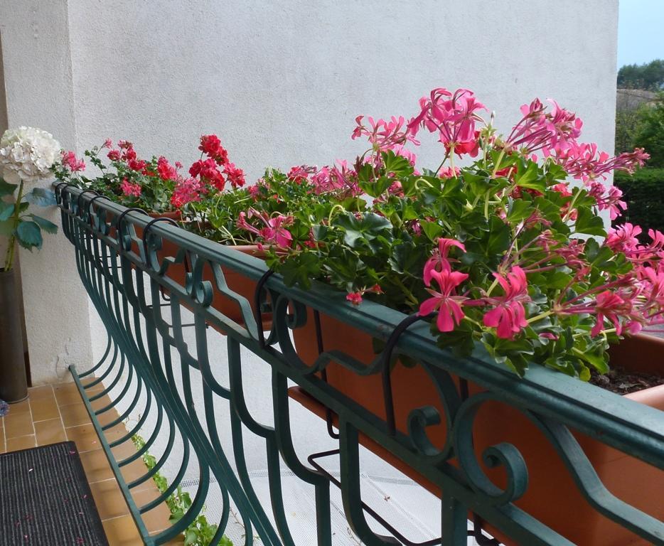 Villa Manon Mouans-Sartoux Εξωτερικό φωτογραφία