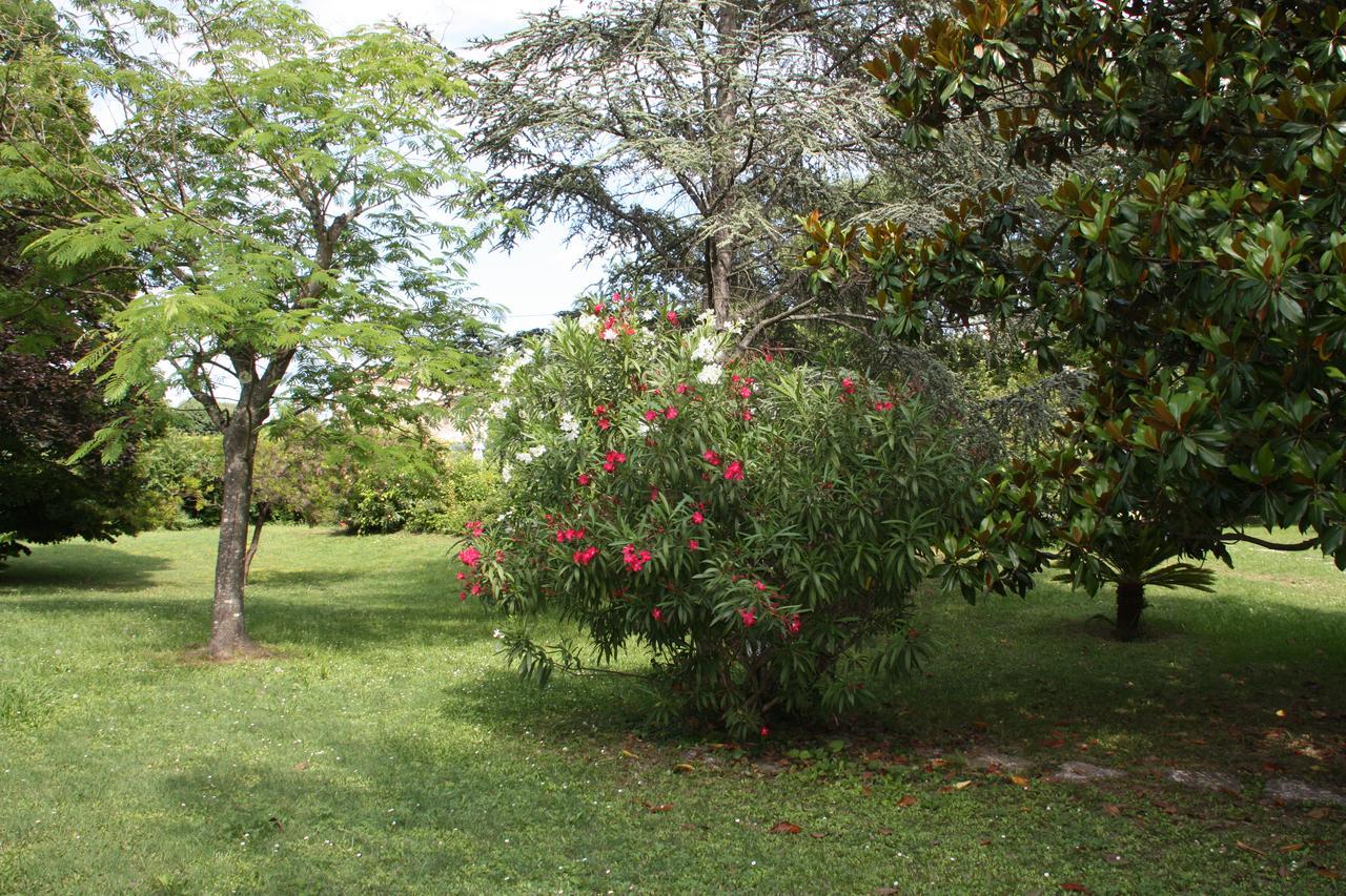 Villa Manon Mouans-Sartoux Εξωτερικό φωτογραφία